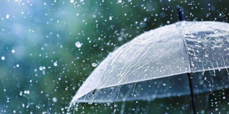 Những điềm báo của giấc mơ mưa rào